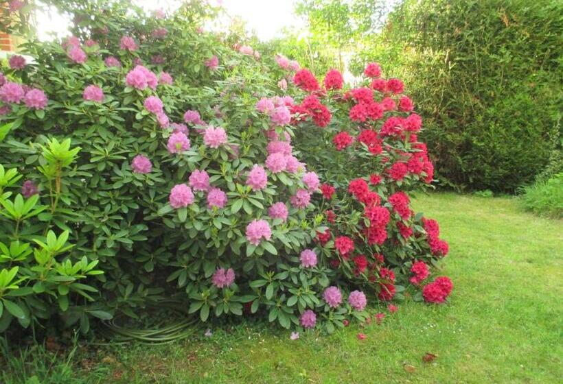 צימר Le Cottage Bnb Chambres Dhotes Paris Saclay