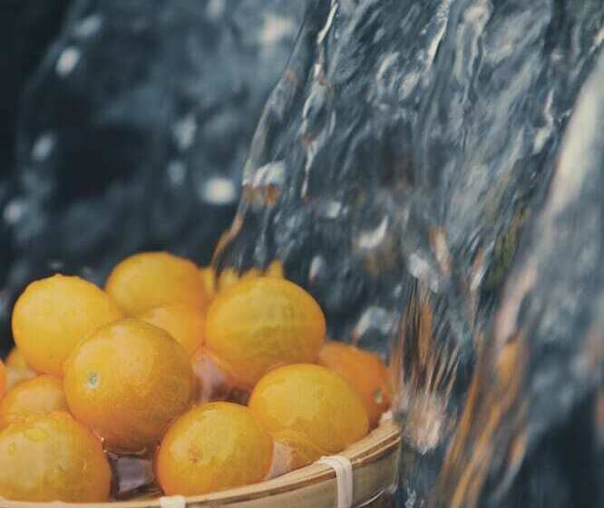 Pensjonat Bloom Over The Sea By Jinspecial