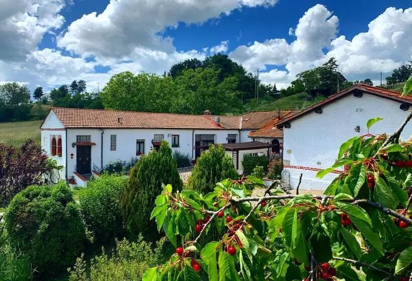 Aamiaismajoitus (B&B) Podere Belvedere