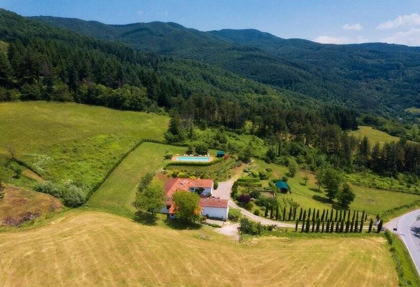 住宿加早餐 Podere Belvedere