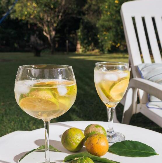 بنسيون Pousada Aconchego Da Serra