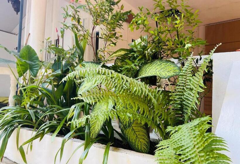 فندق Janice Villa Arambol