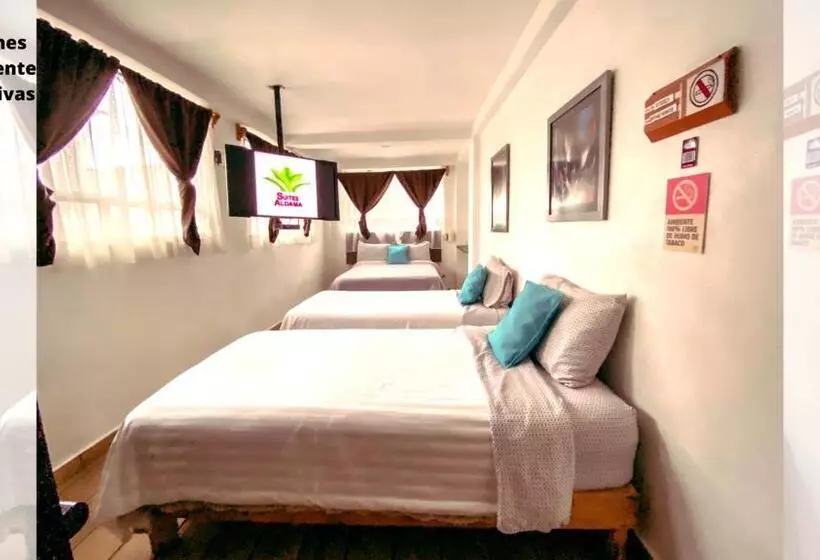 Retkeilymaja Suites Aldama