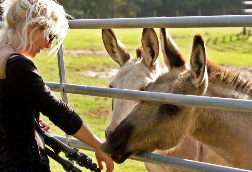 ベッドアンドブレックファースト Dublin Farm