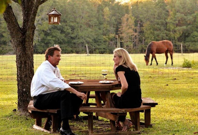 ベッドアンドブレックファースト Dublin Farm