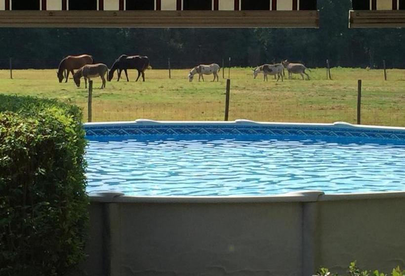 ベッドアンドブレックファースト Dublin Farm