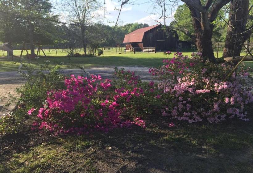 ベッドアンドブレックファースト Dublin Farm