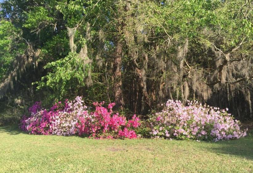 ベッドアンドブレックファースト Dublin Farm