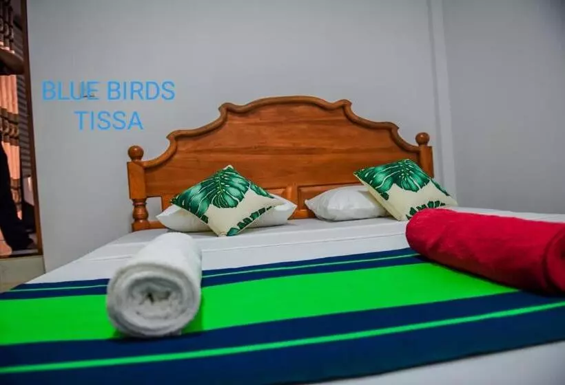 Majatalo Blue Birds Tissa & Yala Safari