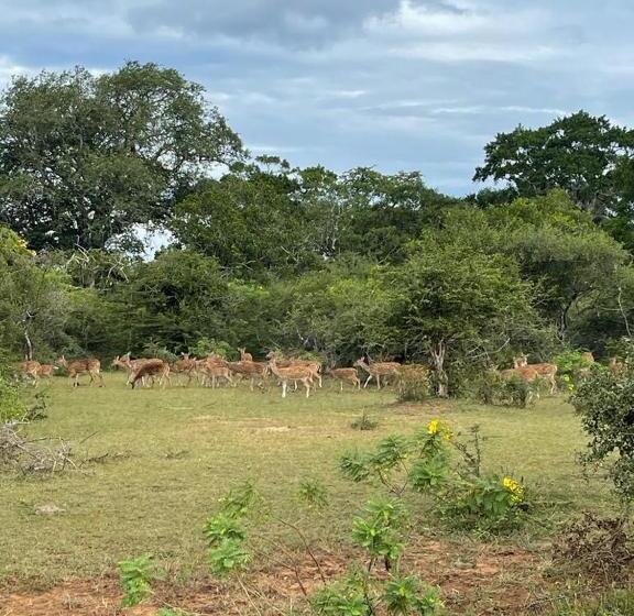 펜션 Blue Birds Tissa & Yala Safari