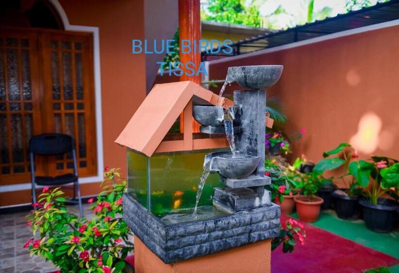 펜션 Blue Birds Tissa & Yala Safari