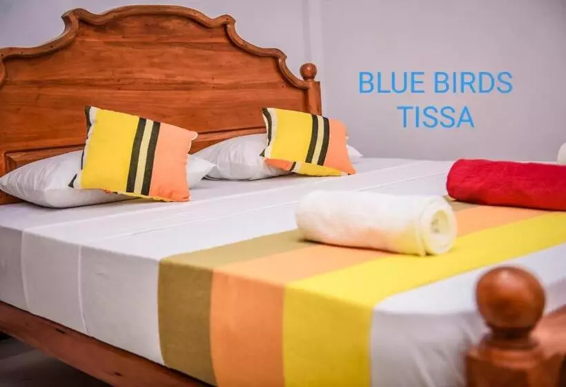 Majatalo Blue Birds Tissa & Yala Safari