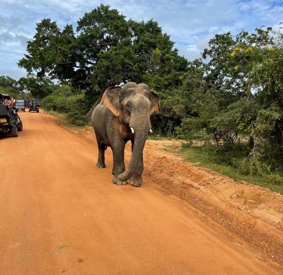 펜션 Blue Birds Tissa & Yala Safari