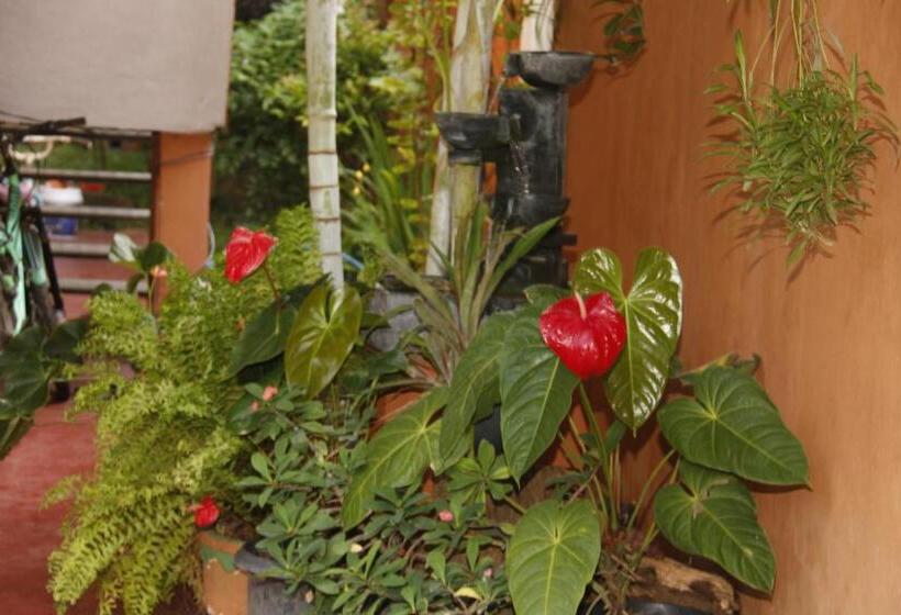 펜션 Blue Birds Tissa & Yala Safari