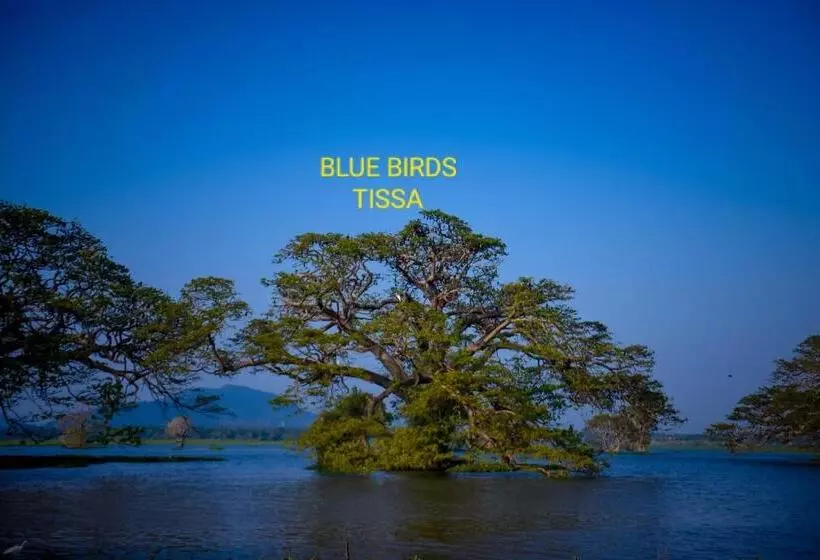 Majatalo Blue Birds Tissa & Yala Safari