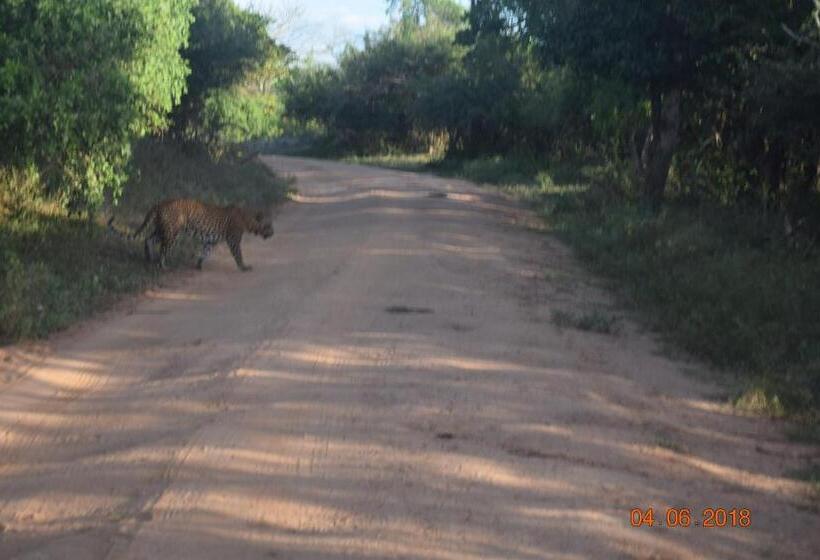 펜션 Blue Birds Tissa & Yala Safari