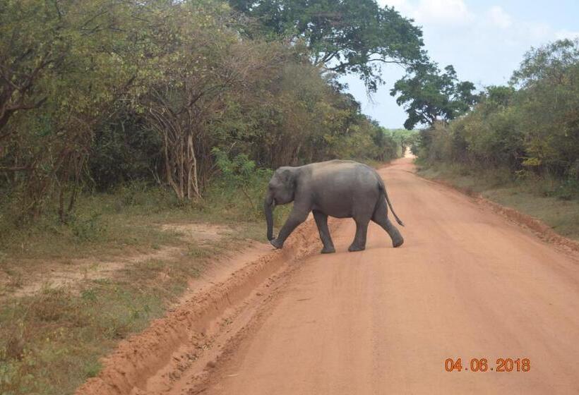 펜션 Blue Birds Tissa & Yala Safari