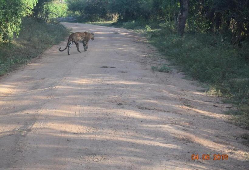 펜션 Blue Birds Tissa & Yala Safari
