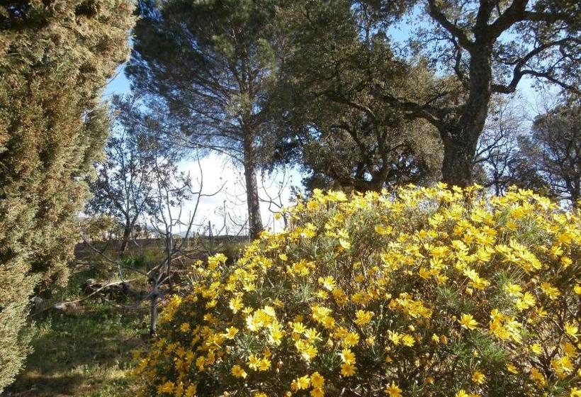 پانسیون La Maison Des Oliviers