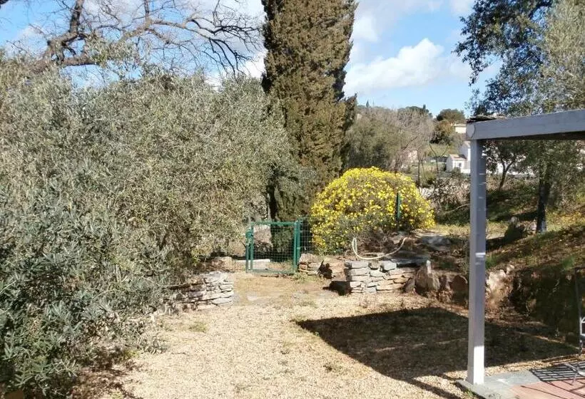 ペンション La Maison Des Oliviers
