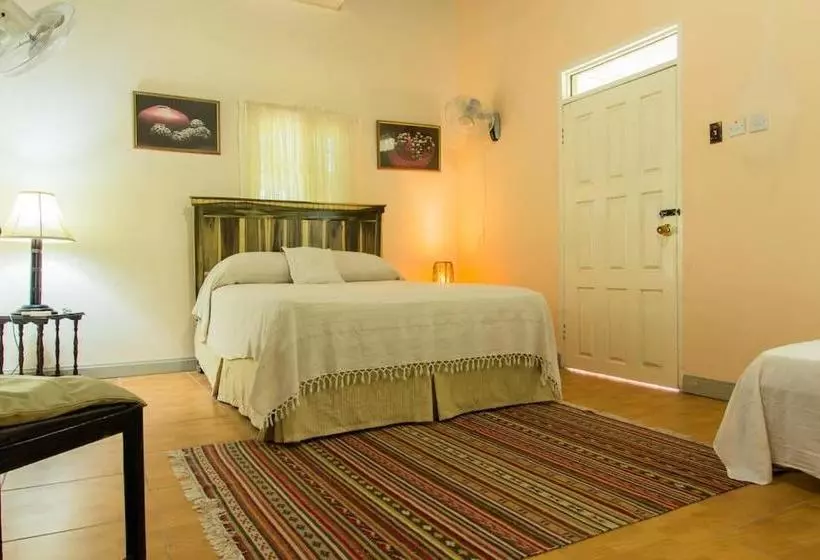 پانسیون The Sinopia Inn