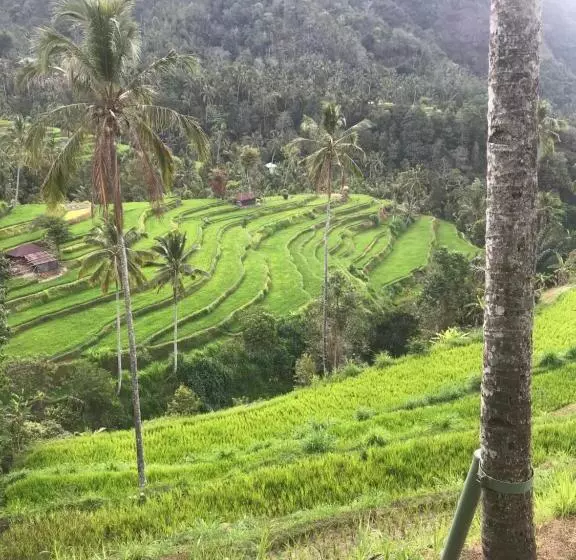 Majatalo Sugi Gede Homestay