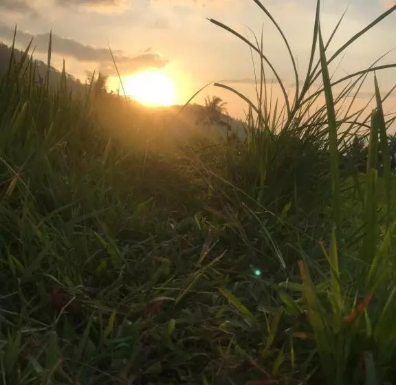 Majatalo Sugi Gede Homestay