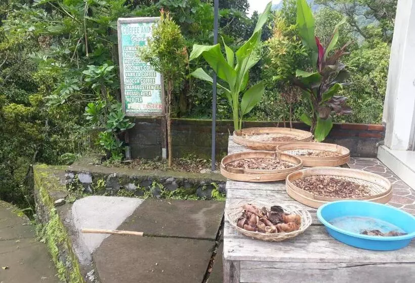 Majatalo Sugi Gede Homestay