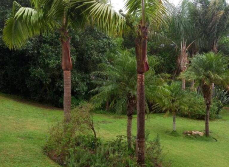 بنسيون Tidal Retreat