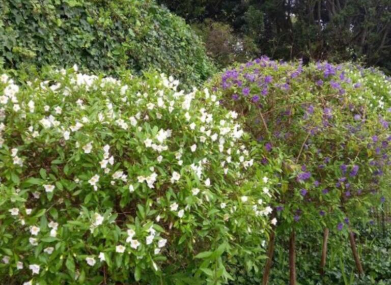 بنسيون Tidal Retreat