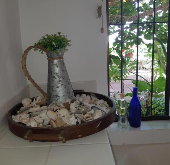 بنسيون Tidal Retreat