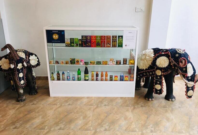 Pensiune Vendol Maliga Edge