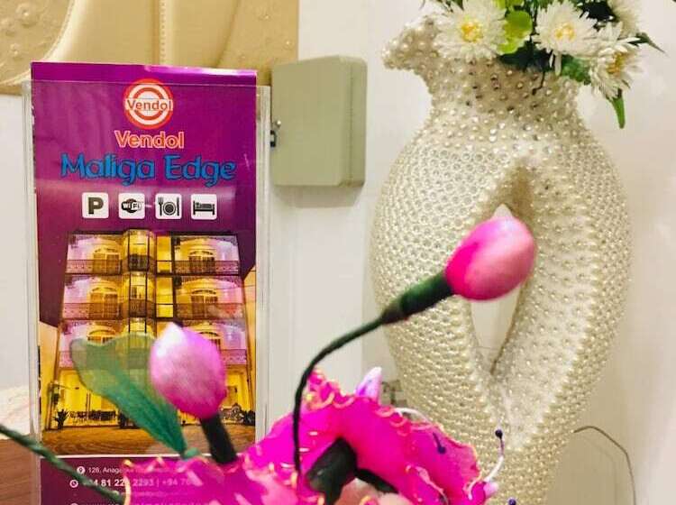 Pensiune Vendol Maliga Edge