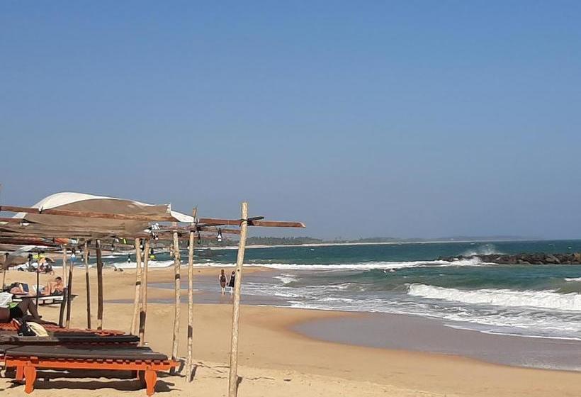 פנסיון Tango Reef