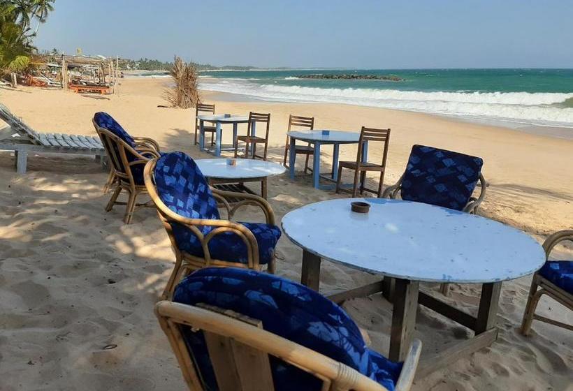 פנסיון Tango Reef