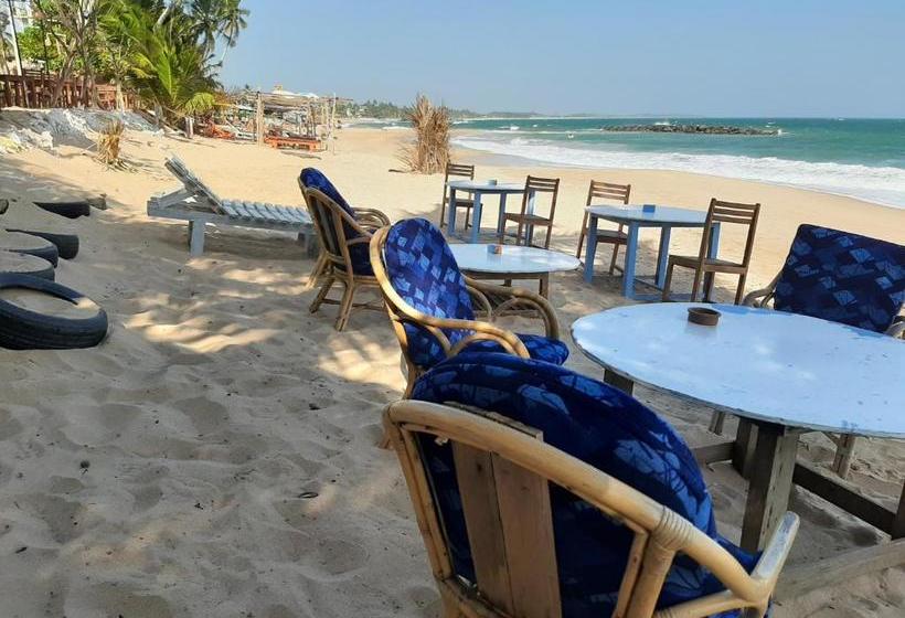 פנסיון Tango Reef