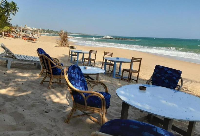 פנסיון Tango Reef