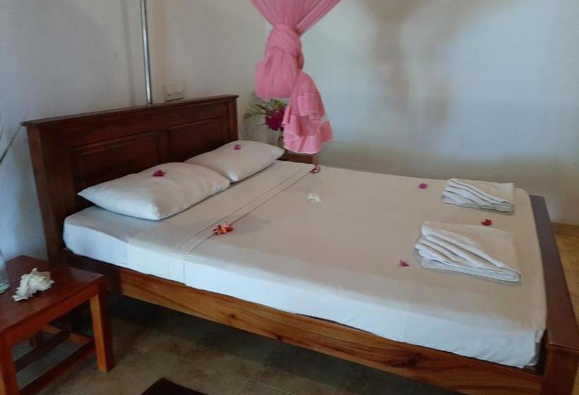 פנסיון Tango Reef