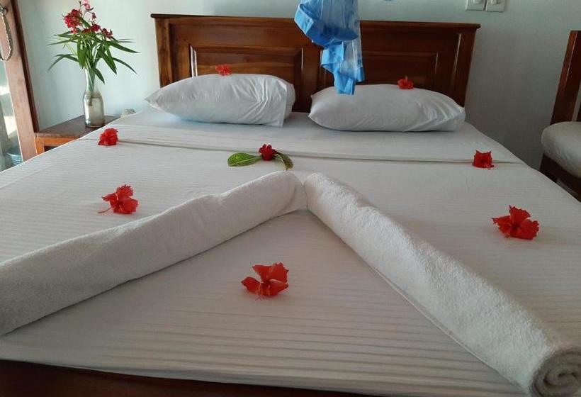 פנסיון Tango Reef