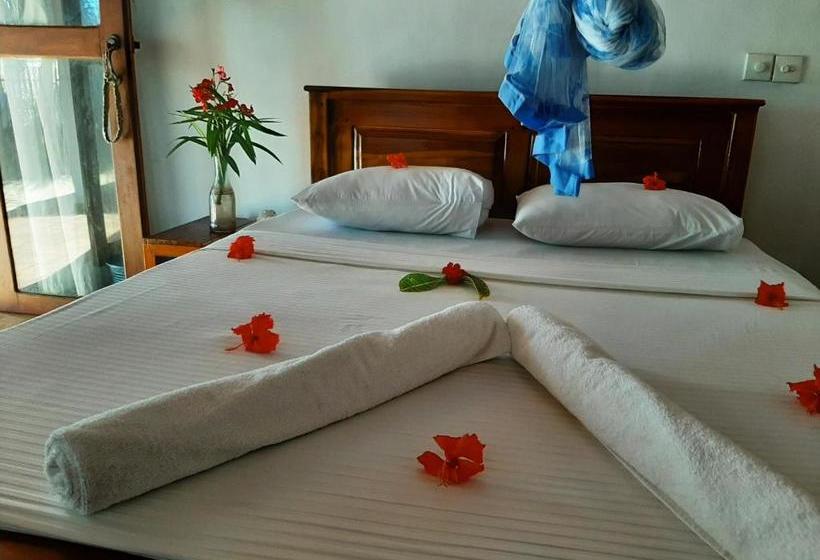 פנסיון Tango Reef