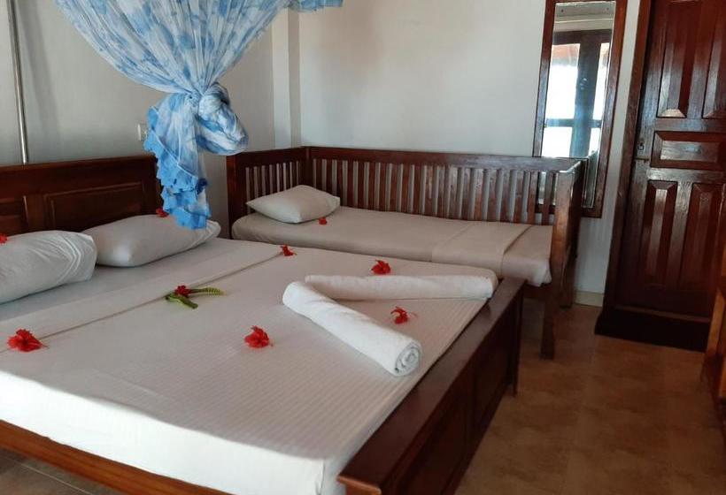 פנסיון Tango Reef