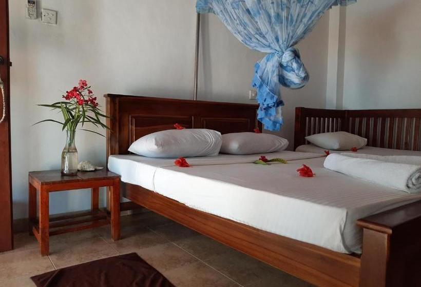 פנסיון Tango Reef