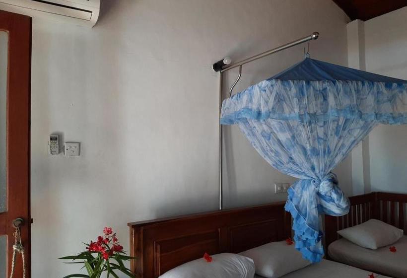 פנסיון Tango Reef