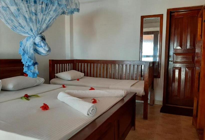 פנסיון Tango Reef