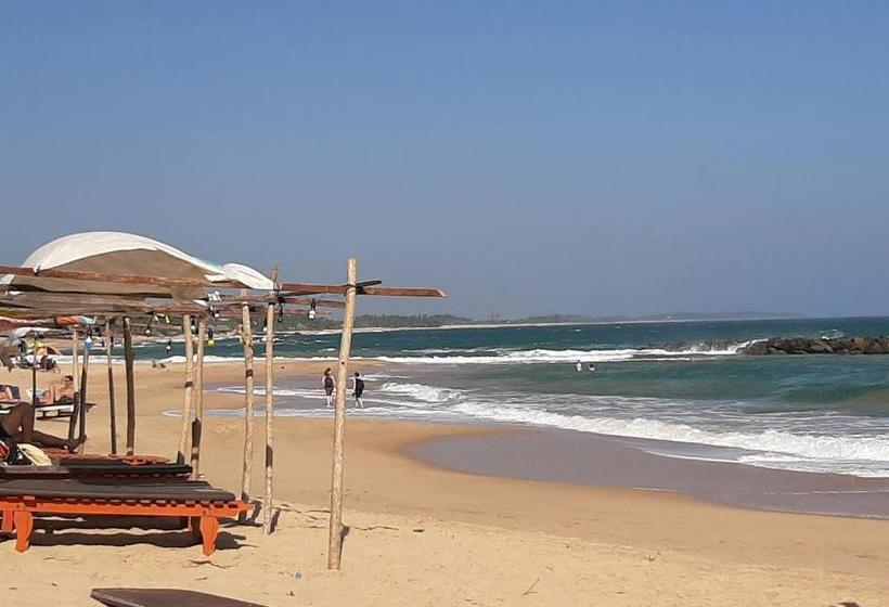 פנסיון Tango Reef