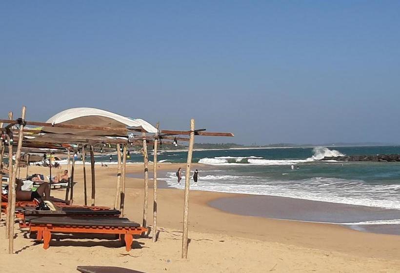 פנסיון Tango Reef