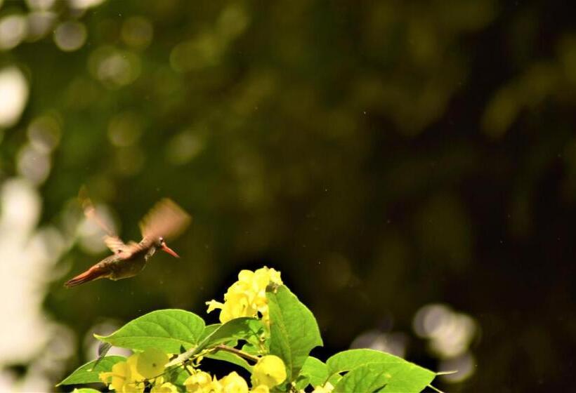 فندق صغير La Qhia Eco Retreat