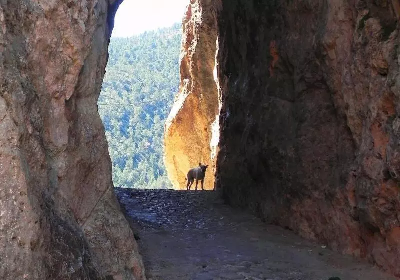ペンション Miralmundo Alojamientos Rurales Ayna  Hostal Rural
