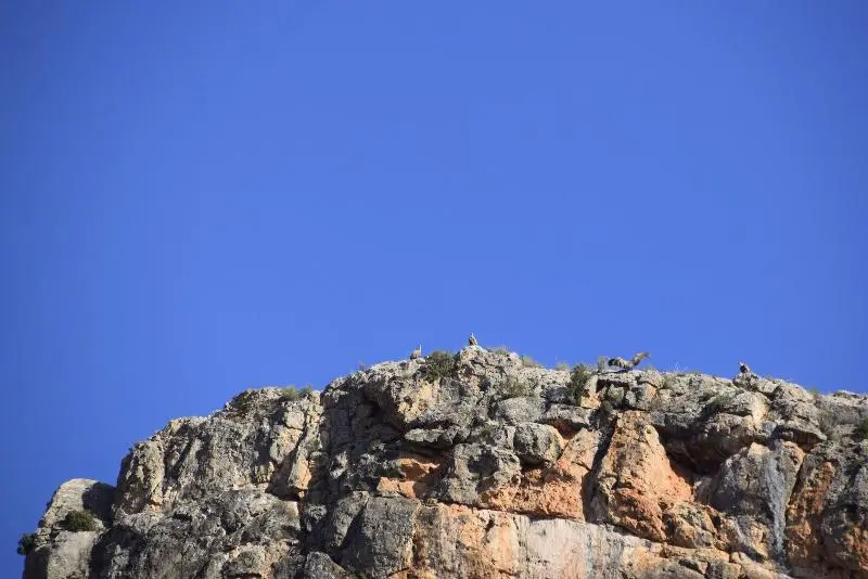 ペンション Miralmundo Alojamientos Rurales Ayna  Hostal Rural