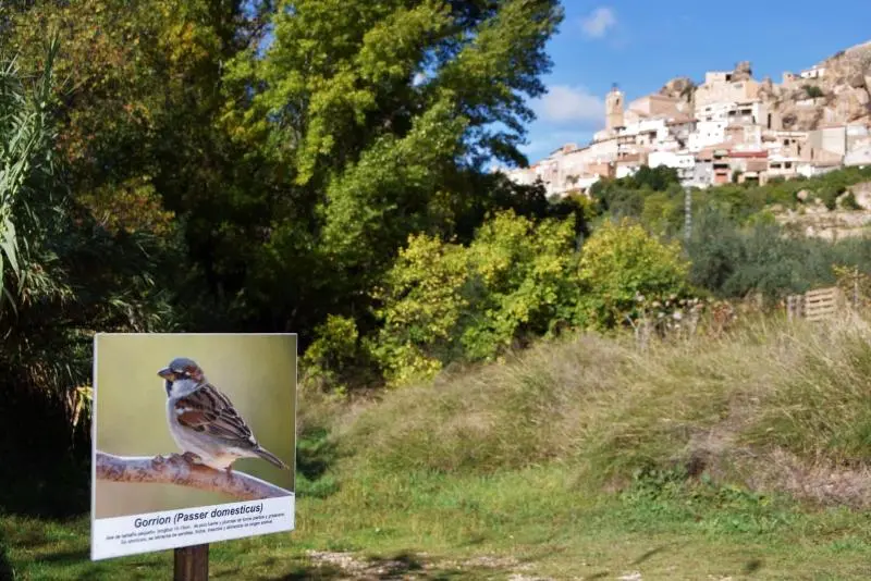 ペンション Miralmundo Alojamientos Rurales Ayna  Hostal Rural